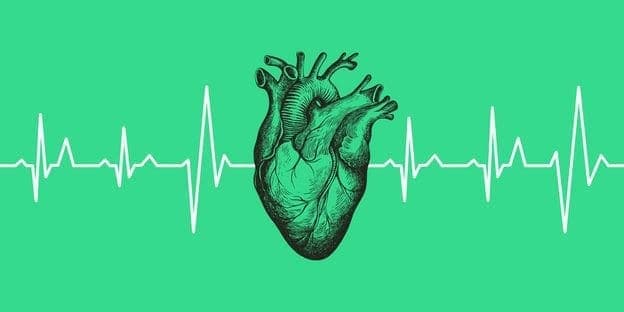 graphical heart in green color connected with a life line