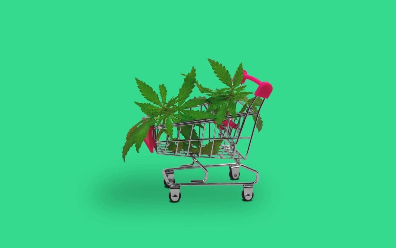 cannabis products